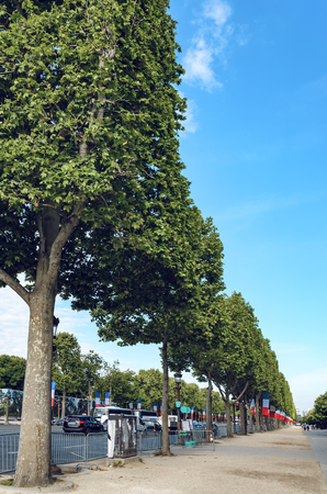 Raw of Trees with celebration flags waving at Champs-Elysees famous street in Paris, Franceの写真素材