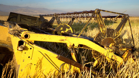 Modern combine harvesting rice on the field.の写真素材