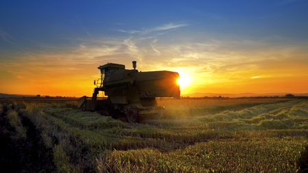 Combine, field and sunrise. Reach success in agribusinessの写真素材