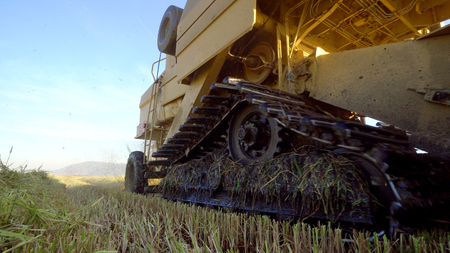 Wheat harvesting shearersの写真素材