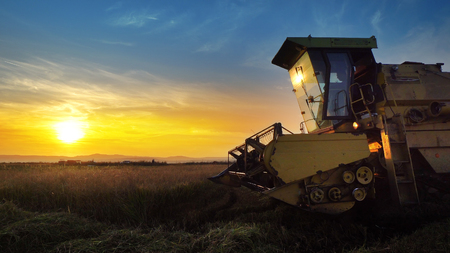 Combine harvester gathers the wheat crop at sunsetの写真素材