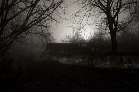 House in forest at nightの写真素材