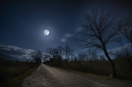 Moon over the road at nightの写真素材