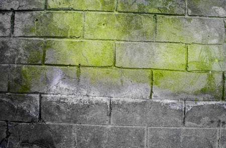 Fragment of old dirty brick wall with peeling plaster texture white grey brown black green blue lime yellow orange maroon violet pink turquoise, stone surface with cracks, useful as background tonedの写真素材