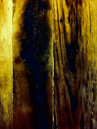 Fragment of bark wood texture. background old panels. Grunge retro vintage wooden surface, Vertical...