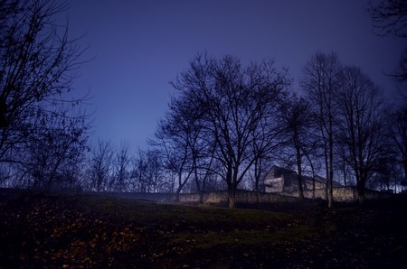 house in fog at night in the garden, Landscape of ghost house in the dark forest.