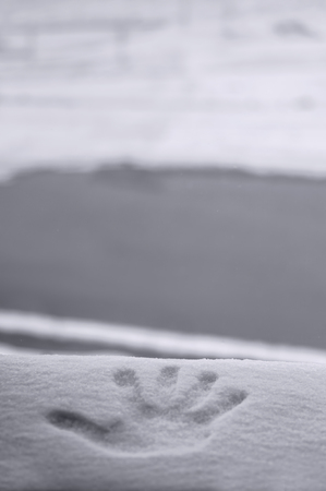 Perfect hand print in fresh snow, with blurred background of lake and mountain