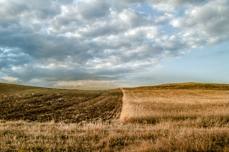 Yellow and black agricultural fields and clouds in blue sky. Azerbaijanの写真素材