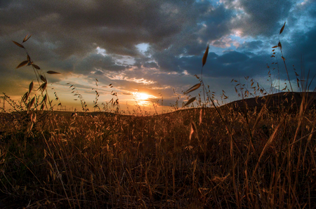 Beautiful evening view of the Azerbaijan mountains green grass meadows and hills at sunset time. Summertimeの写真素材