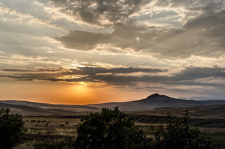 Beautiful evening view of the Azerbaijan mountains green grass meadows and hills at sunset time. Summertimeの写真素材