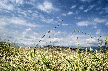 Beautiful summer landscape in mountains, green meadows and the dark blue sky with clouds . Big Caucasus. Azerbaijan Sheki Gakh Oguzの写真素材