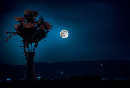 Picturesque purple spring flowers in glass vase standing in a row on a dark background with stars and moon. Outdoorの写真素材