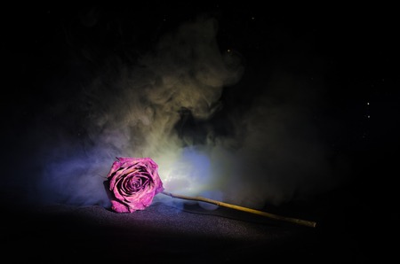 A wilting rose signifies lost love, divorce, or a bad relationship, dead rose on dark background with smokeの写真素材
