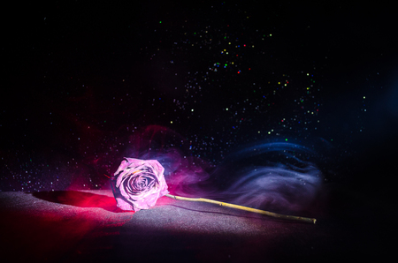 A wilting rose signifies lost love, divorce, or a bad relationship, dead rose on dark background with smokeの写真素材