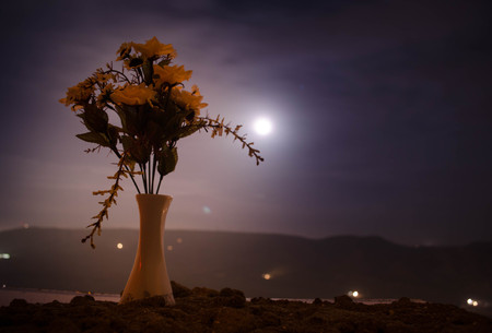 Picturesque purple spring flowers in glass vase standing in a row on a dark background with stars and moon. Outdoorの写真素材