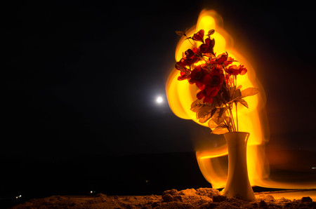 Picturesque purple spring flowers in glass vase standing in a row on a dark background with stars and moon. Outdoorの写真素材