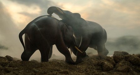 Two elephant bulls interact and communicate while play fighting. Elephants touching each other gentlyの写真素材