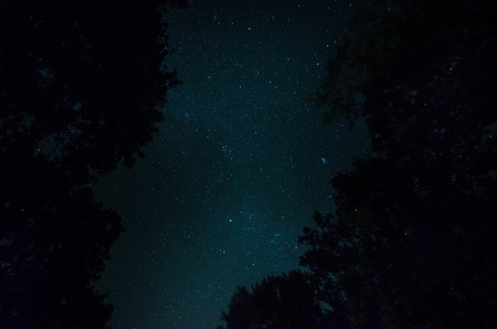 Mountain Road through the forest on a full moon night. Scenic night landscape of dark blue sky with moon. Azerbaijanの写真素材
