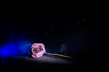 A wilting rose signifies lost love, divorce, or a bad relationship, dead rose on dark background with smokeの写真素材