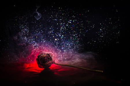 A wilting rose signifies lost love, divorce, or a bad relationship, dead rose on dark background with smokeの写真素材