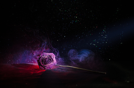 A wilting rose signifies lost love, divorce, or a bad relationship, dead rose on dark background with smokeの写真素材