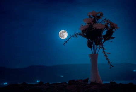Picturesque purple spring flowers in glass vase standing in a row on a dark background with stars and moon. Outdoorの写真素材