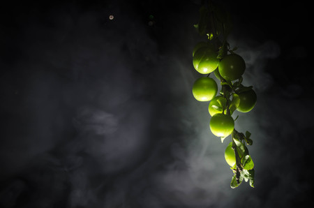 branch with green cherry plum (Alycha) close up on a dark background with smoke effectの写真素材