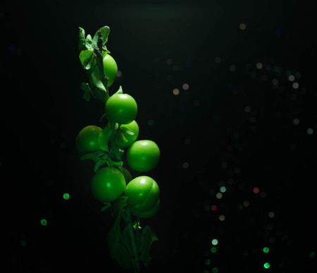branch with green cherry plum (Alycha) close up on a dark background with smoke effectの写真素材