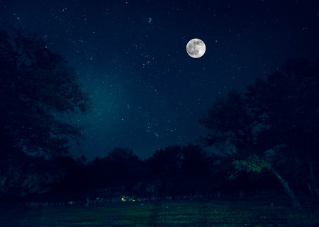 Mountain Road through the forest on a full moon night. Scenic night landscape of dark blue sky with moon. Azerbaijanの写真素材