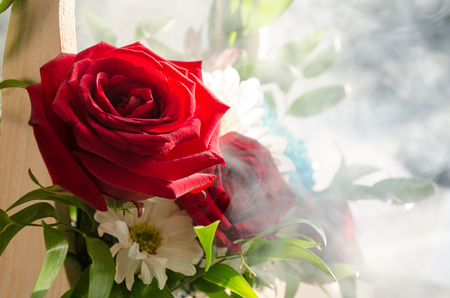 Bouquet of roses close up. Blurred background. Selective focus. Floral pattern or greeting card background. Bouquet of fresh roses, red roses heads and chamomile flowers mixedの写真素材