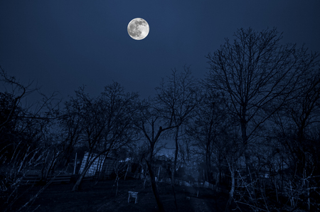 Beautiful landscape village street with buildings and trees and big full moon at the night sky. Big Caucasus . Azerbaijan nature Gazakhの写真素材