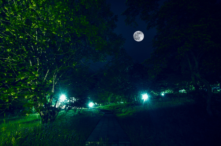 Mountain Road through the forest on a full moon night. Scenic night landscape of dark blue sky with moon. Azerbaijanの写真素材