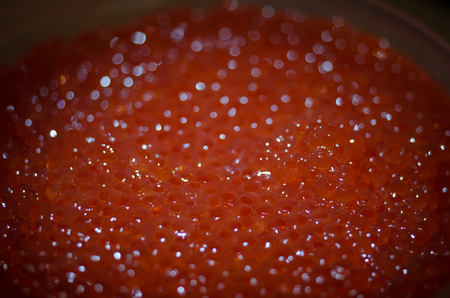 Red caviar macro shot, selective focus, the polymer texture. Eggs of red caviar close-up background. Protein healthy foodの写真素材