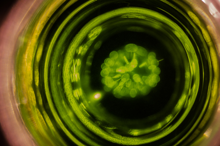 Top view of glass mug of liquid on table, close up. Selective focus