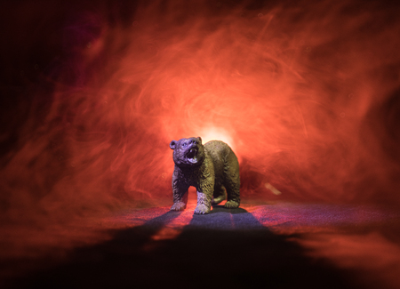 Angry bear behind the fire cloudy sky. The silhouette of a bear in foggy forest dark backgroundの写真素材