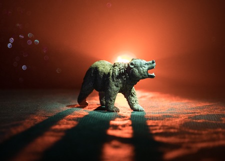 Angry bear behind the fire cloudy sky. The silhouette of a bear in foggy forest dark background