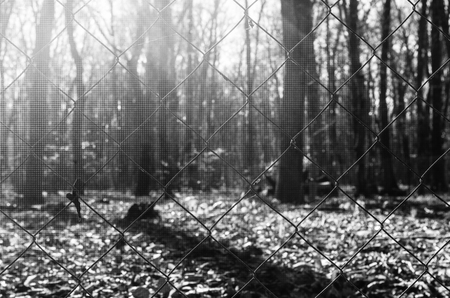 Landscape of asphalt road going off into the mountain passes through the trees, villages and forest places. or rural places of Azerbaijan at sunsetの写真素材