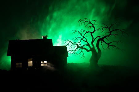 Old house with a Ghost at night with spooky tree or Abandoned Haunted Horror House in toned foggy sky with light. Old mystic building in dead tree forest. Horror Halloween concept.の写真素材