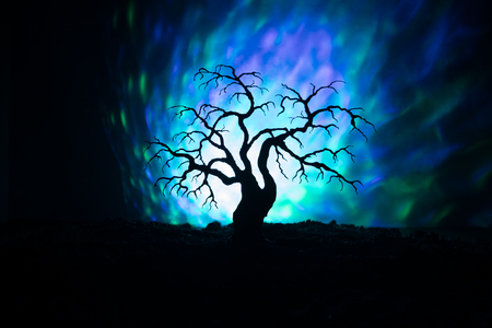 Silhouette of scary Halloween tree on dark foggy toned background with moon on back side. Scary horror treeの写真素材