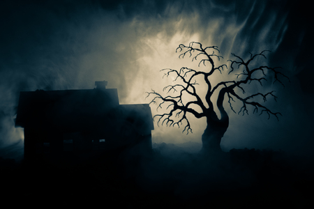 Old house with a Ghost at night with spooky tree or Abandoned Haunted Horror House in toned foggy sky with light. Old mystic building in dead tree forest. Horror Halloween concept.の写真素材