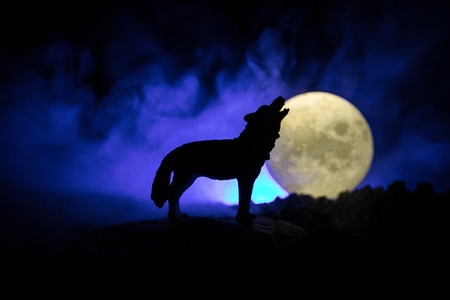 Silhouette of howling wolf against dark toned foggy background and full moon or Wolf in silhouette howling to the full moon. Halloween horror concept. Selective focusの写真素材