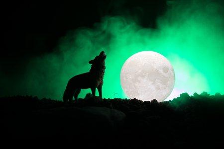 Silhouette of howling wolf against dark toned foggy background and full moon or Wolf in silhouette howling to the full moon. Halloween horror concept. Selective focusの写真素材