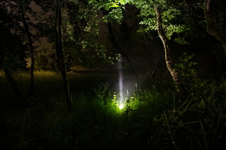 Strange silhouette in a dark spooky forest at night, mystical landscape surreal lights with creepy man. Foggy nightの写真素材