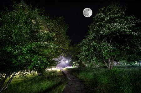 Beautiful night landscape of big full moon rising over the mountain road with hill and trees. Green meadow foggy night. mystical conceptの写真素材