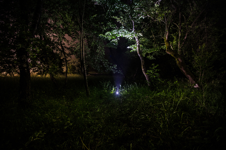 Strange silhouette in a dark spooky forest at night, mystical landscape surreal lights with creepy man. Foggy nightの写真素材