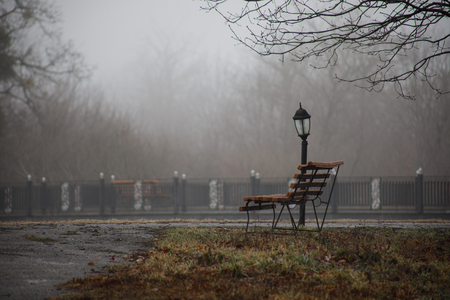 Empty bench at park near pond by foggy day, minimalistic cold season scene. bench at the lake in the fog in the forest. Bench near lake with fog. Azerbaijan Nature. Caucasusの写真素材