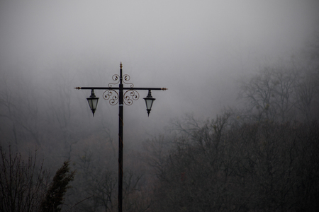 Landscape with beautiful fog in forest on hill or Trail through a mysterious winter forest with autumn leaves on the ground. Road through a winter forest. Magical atmosphere. Azerbaijan natureの写真素材