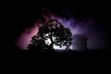 Old house with a Ghost in the forest at night or Abandoned Haunted Horror House in fog. Old mystic building in dead tree forest. Trees at night with moon. Surreal lights. Horror Halloween conceptの写真素材
