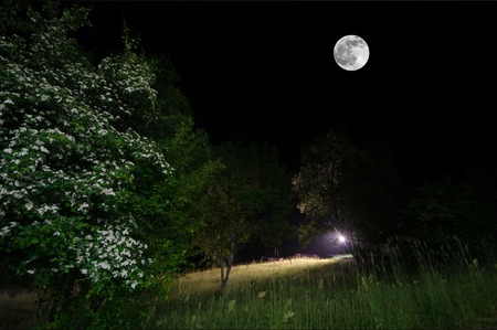 Beautiful night landscape of big full moon rising over the mountain road with hill and trees. Green meadow foggy night. mystical conceptの写真素材