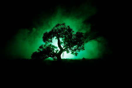 Old house with a Ghost in the forest at night or Abandoned Haunted Horror House in fog. Old mystic building in dead tree forest. Trees at night with moon. Surreal lights. Horror Halloween conceptの写真素材